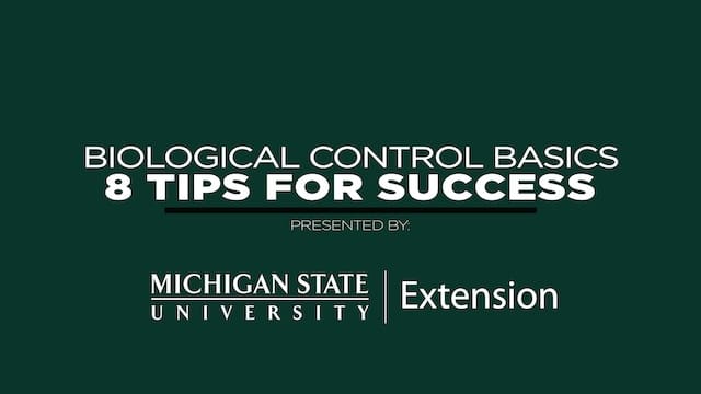 Launch the Biological Control Basics: 8 Tips For Success video (opens in new window).