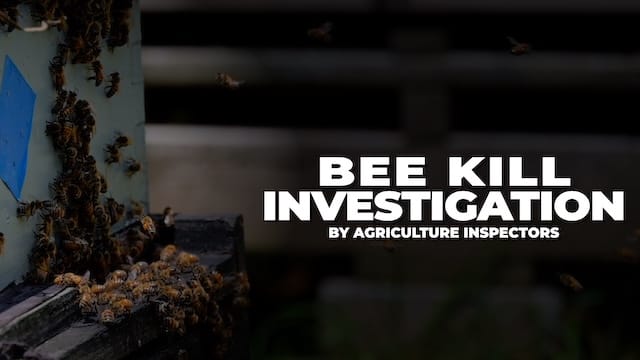 Launch the US English Bee Kill Investigation video (opens in new window).
