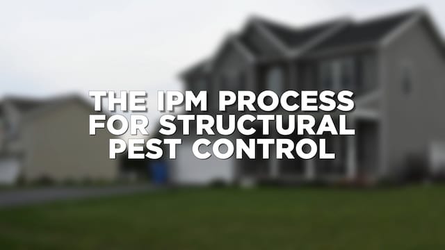 Launch The IPM Process for Structural Pest Control video (opens in new window).