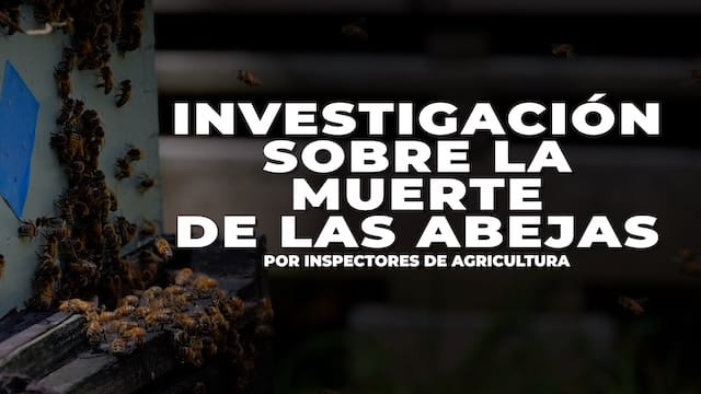 Launch the US Spanish Bee Kill Investigation video (opens in new window).