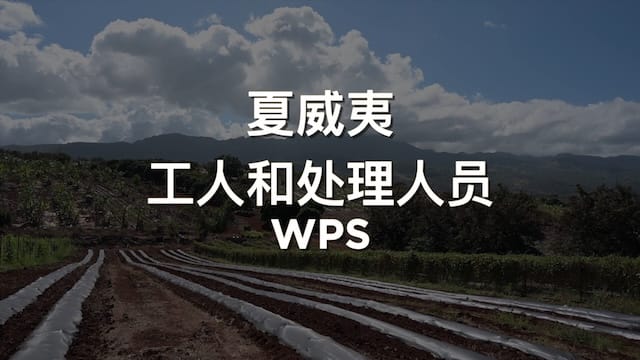 Launch the (Chinese) WPS For Workers And Handlers In Hawaii video (opens in new window).