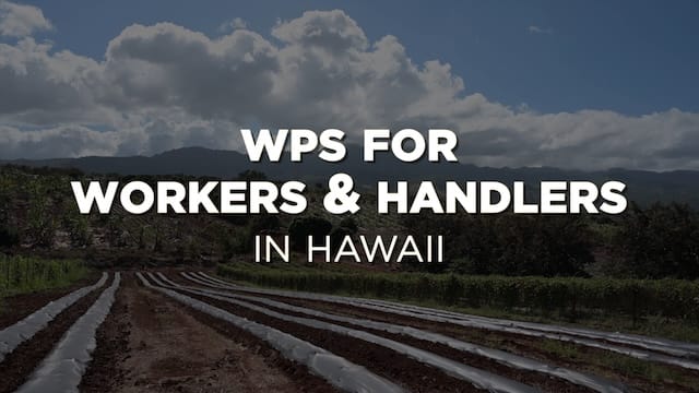 Launch the WPS For Workers And Handlers In Hawaii video (opens in new window).